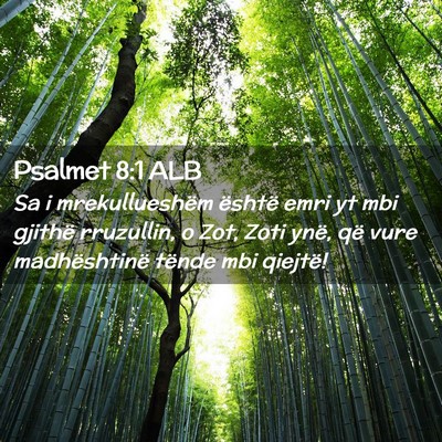 Picture 02 - Psalmet 8:1 ALB - Sa i mrekullueshëm është emri yt mbi gjithë - Bible Verse Picture