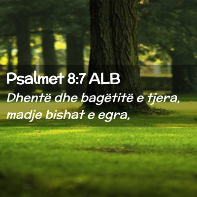 Picture 02 - Psalmet 8:7 ALB - Dhentë dhe bagëtitë e tjera, madje bishat e - Bible Verse Picture
