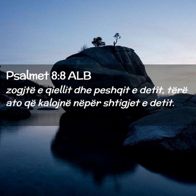Picture 02 - Psalmet 8:8 ALB - zogjtë e qiellit dhe peshqit e detit, tërë ato - Bible Verse Picture