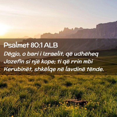 Picture 02 - Psalmet 80:1 ALB - Dëgjo, o bari i Izraelit, që udhëheq Jozefin - Bible Verse Picture