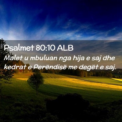 Picture 02 - Psalmet 80:10 ALB - Malet u mbuluan nga hija e saj dhe kedrat e - Bible Verse Picture