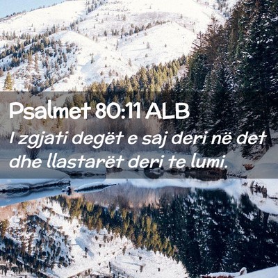 Picture 02 - Psalmet 80:11 ALB - I zgjati degët e saj deri në det dhe llastarët - Bible Verse Picture