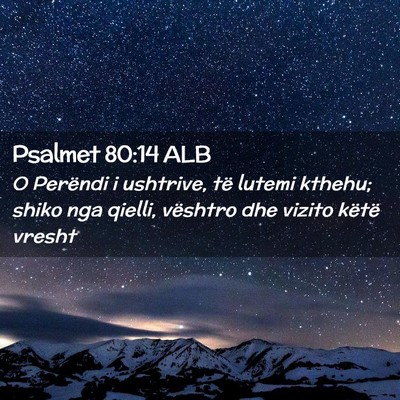 Picture 02 - Psalmet 80:14 ALB - O Perëndi i ushtrive, të lutemi kthehu; shiko - Bible Verse Picture