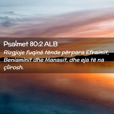 Picture 02 - Psalmet 80:2 ALB - Rizgjoje fuqinë tënde përpara Efraimit, - Bible Verse Picture