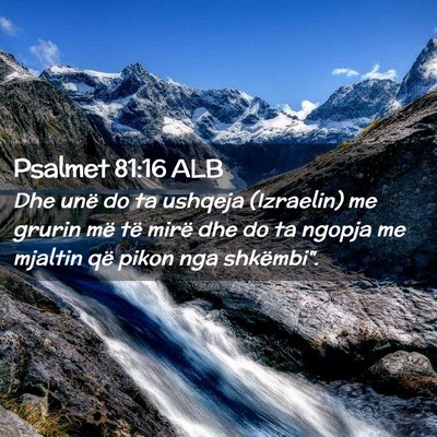 Picture 02 - Psalmet 81:16 ALB - Dhe unë do ta ushqeja (Izraelin) me grurin më - Bible Verse Picture