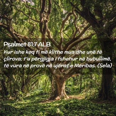 Picture 02 - Psalmet 81:7 ALB - Kur ishe keq ti më klithe mua dhe unë të - Bible Verse Picture