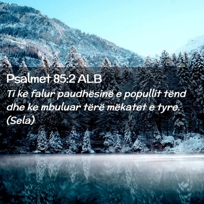 Picture 02 - Psalmet 85:2 ALB - Ti ke falur paudhësinë e popullit tënd dhe ke - Bible Verse Picture