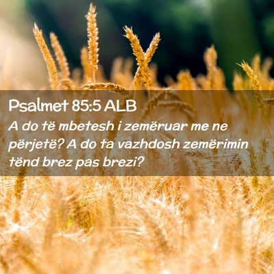 Picture 02 - Psalmet 85:5 ALB - A do të mbetesh i zemëruar me ne përjetë? A - Bible Verse Picture