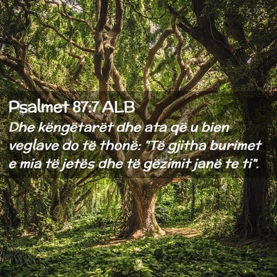 Picture 02 - Psalmet 87:7 ALB - Dhe këngëtarët dhe ata që u bien veglave do - Bible Verse Picture