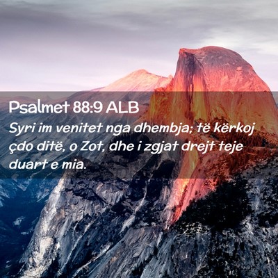Picture 02 - Psalmet 88:9 ALB - Syri im venitet nga dhembja; të kërkoj çdo - Bible Verse Picture