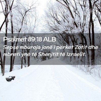 Picture 02 - Psalmet 89:18 ALB - Sepse mburoja jonë i përket Zotit dhe mbreti - Bible Verse Picture