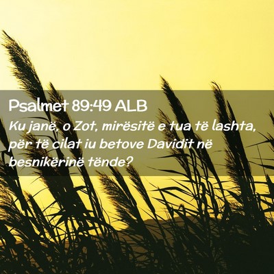 Picture 02 - Psalmet 89:49 ALB - Ku janë, o Zot, mirësitë e tua të lashta, - Bible Verse Picture