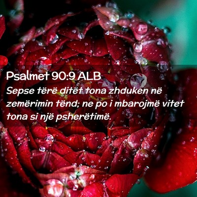 Picture 02 - Psalmet 90:9 ALB - Sepse tërë ditët tona zhduken në zemërimin - Bible Verse Picture