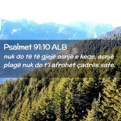 Picture 02 - Psalmet 91:10 ALB - nuk do të të gjejë asnjë e keqe, asnjë - Bible Verse Picture