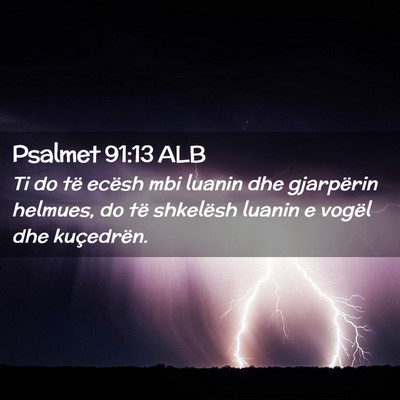 Picture 02 - Psalmet 91:13 ALB - Ti do të ecësh mbi luanin dhe gjarpërin - Bible Verse Picture