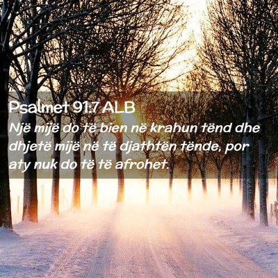 Picture 02 - Psalmet 91:7 ALB - Një mijë do të bien në krahun tënd dhe - Bible Verse Picture