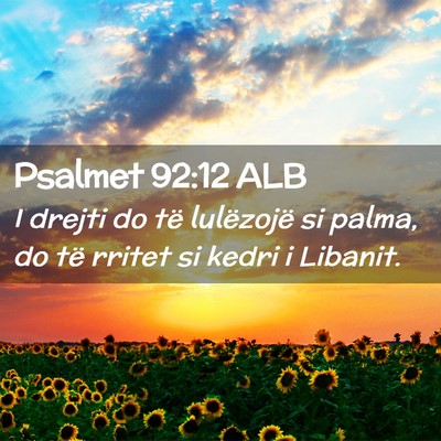 Picture 02 - Psalmet 92:12 ALB - I drejti do të lulëzojë si palma, do të - Bible Verse Picture