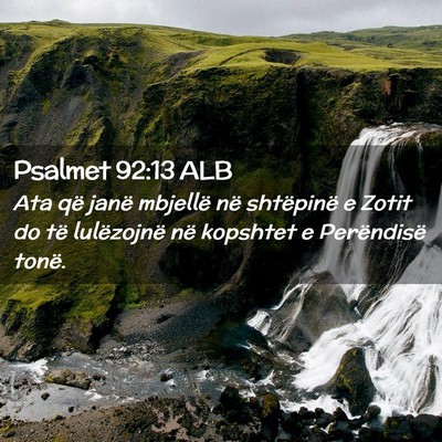 Picture 02 - Psalmet 92:13 ALB - Ata që janë mbjellë në shtëpinë e Zotit do - Bible Verse Picture