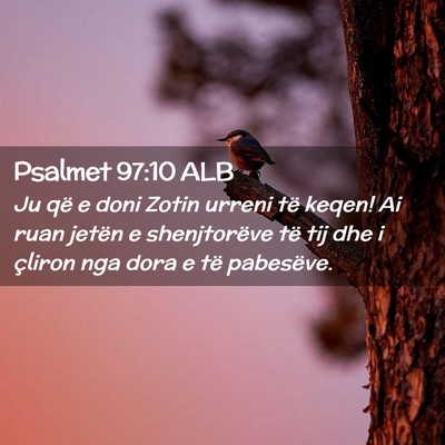 Picture 02 - Psalmet 97:10 ALB - Ju që e doni Zotin urreni të keqen! Ai ruan - Bible Verse Picture