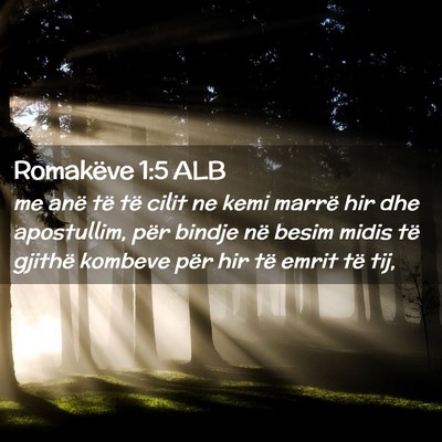 Picture 02 - Romakëve 1:5 ALB - me anë të të cilit ne kemi marrë hir dhe - Bible Verse Picture