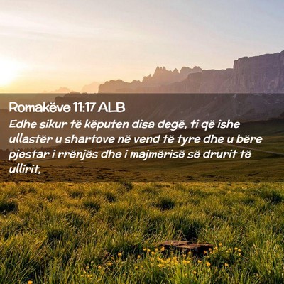 Picture 02 - Romakëve 11:17 ALB - Edhe sikur të këputen disa degë, ti që ishe - Bible Verse Picture