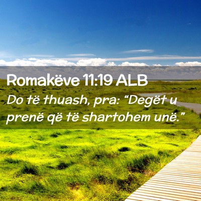Picture 02 - Romakëve 11:19 ALB - Do të thuash, pra: “Degët u prenë që të - Bible Verse Picture