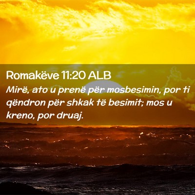 Picture 02 - Romakëve 11:20 ALB - Mirë, ato u prenë për mosbesimin, por ti - Bible Verse Picture