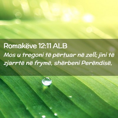 Picture 02 - Romakëve 12:11 ALB - Mos u tregoni të përtuar në zell; jini të - Bible Verse Picture