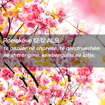 Picture 02 - Romakëve 12:12 ALB - të gëzuar në shpresë, të qëndrueshëm në - Bible Verse Picture
