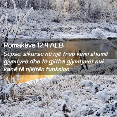 Picture 02 - Romakëve 12:4 ALB - Sepse, sikurse në një trup kemi shumë - Bible Verse Picture