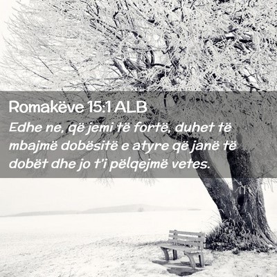 Picture 02 - Romakëve 15:1 ALB - Edhe ne, që jemi të fortë, duhet të mbajmë - Bible Verse Picture