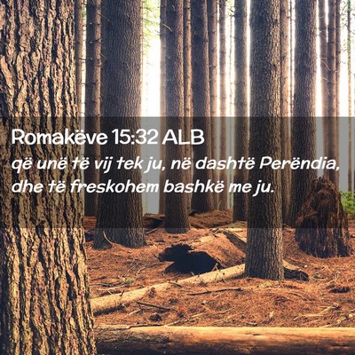 Picture 02 - Romakëve 15:32 ALB - që unë të vij tek ju, në dashtë Perëndia, - Bible Verse Picture