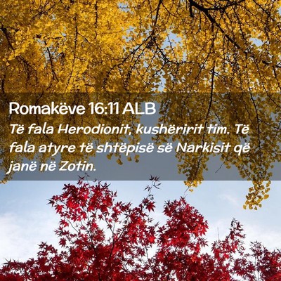 Picture 02 - Romakëve 16:11 ALB - Të fala Herodionit, kushëririt tim. Të fala - Bible Verse Picture