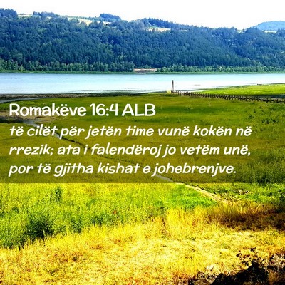 Picture 02 - Romakëve 16:4 ALB - të cilët për jetën time vunë kokën në - Bible Verse Picture