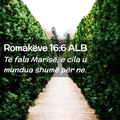 Picture 02 - Romakëve 16:6 ALB - Të fala Marisë, e cila u mundua shumë për - Bible Verse Picture