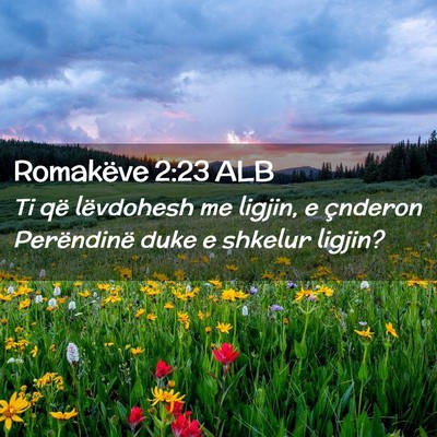 Picture 02 - Romakëve 2:23 ALB - Ti që lëvdohesh me ligjin, e çnderon - Bible Verse Picture