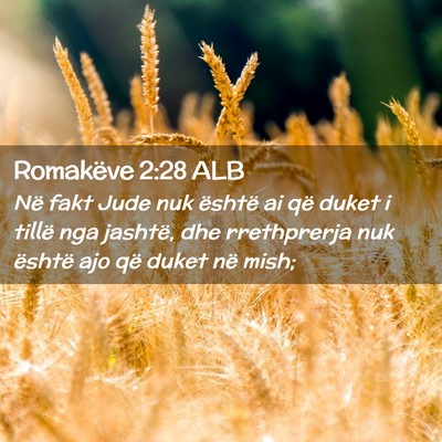 Picture 02 - Romakëve 2:28 ALB - Në fakt Jude nuk është ai që duket i tillë - Bible Verse Picture
