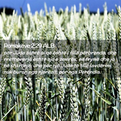 Picture 02 - Romakëve 2:29 ALB - por Jude është ai që është i tillë - Bible Verse Picture