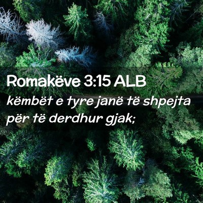 Picture 02 - Romakëve 3:15 ALB - këmbët e tyre janë të shpejta për të - Bible Verse Picture