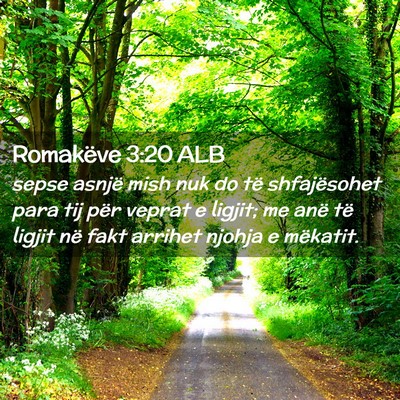 Picture 02 - Romakëve 3:20 ALB - sepse asnjë mish nuk do të shfajësohet para - Bible Verse Picture