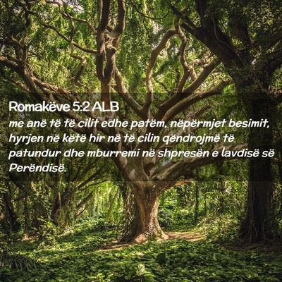 Picture 02 - Romakëve 5:2 ALB - me anë të të cilit edhe patëm, nëpërmjet - Bible Verse Picture