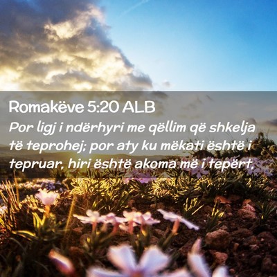 Picture 02 - Romakëve 5:20 ALB - Por ligj i ndërhyri me qëllim që shkelja të - Bible Verse Picture