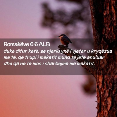 Picture 02 - Romakëve 6:6 ALB - duke ditur këtë: se njeriu ynë i vjetër u - Bible Verse Picture