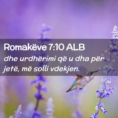 Picture 02 - Romakëve 7:10 ALB - dhe urdhërimi që u dha për jetë, më solli - Bible Verse Picture