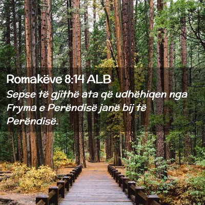 Picture 02 - Romakëve 8:14 ALB - Sepse të gjithë ata që udhëhiqen nga Fryma e - Bible Verse Picture