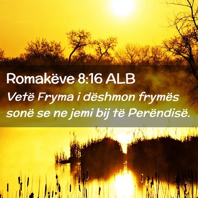 Picture 02 - Romakëve 8:16 ALB - Vetë Fryma i dëshmon frymës sonë se ne jemi - Bible Verse Picture