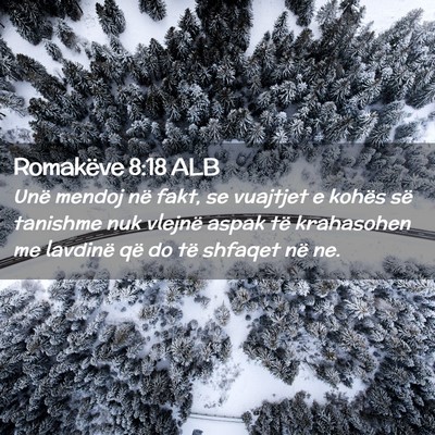Picture 02 - Romakëve 8:18 ALB - Unë mendoj në fakt, se vuajtjet e kohës së - Bible Verse Picture