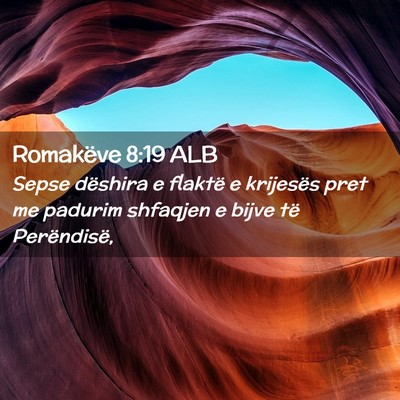 Picture 02 - Romakëve 8:19 ALB - Sepse dëshira e flaktë e krijesës pret me - Bible Verse Picture