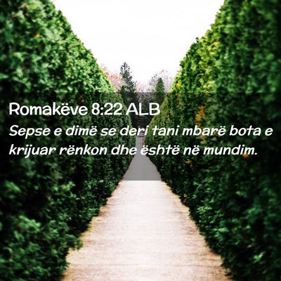 Picture 02 - Romakëve 8:22 ALB - Sepse e dimë se deri tani mbarë bota e krijuar - Bible Verse Picture