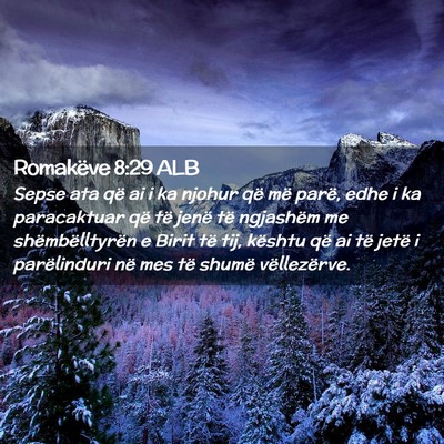 Picture 02 - Romakëve 8:29 ALB - Sepse ata që ai i ka njohur që më parë, edhe - Bible Verse Picture